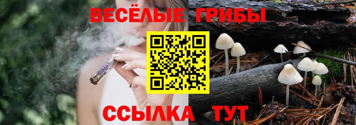 Псилоцибиновые грибы ЛСД  Вход с VPN  купить наркотик  Якутск  Псилоцибиновые грибы ЛСД 